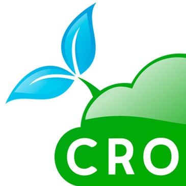 Crowd Consultants