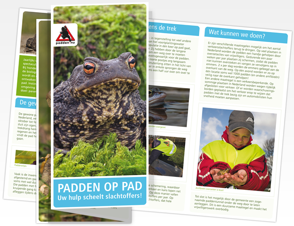 Padden.nu // brochure